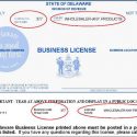 Business License Sample